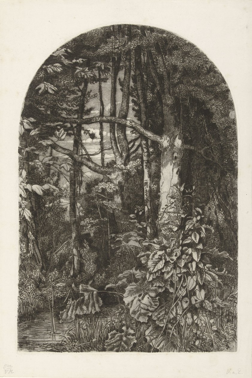 Forêt avec ruisseau - Jacobus Ludovicus Cornet