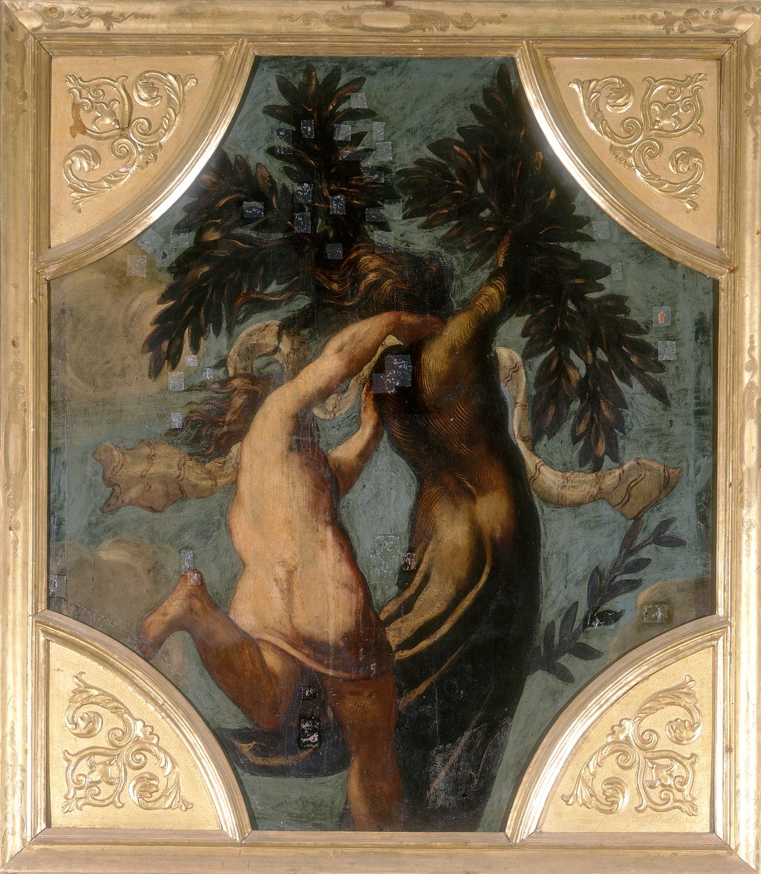 Apollon et Daphné, octogone - Jacopo Robusti Tintoretto