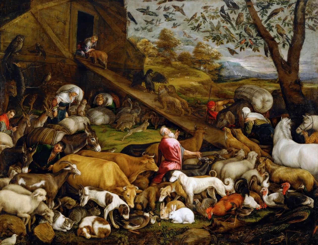 Entrée des animaux dans l