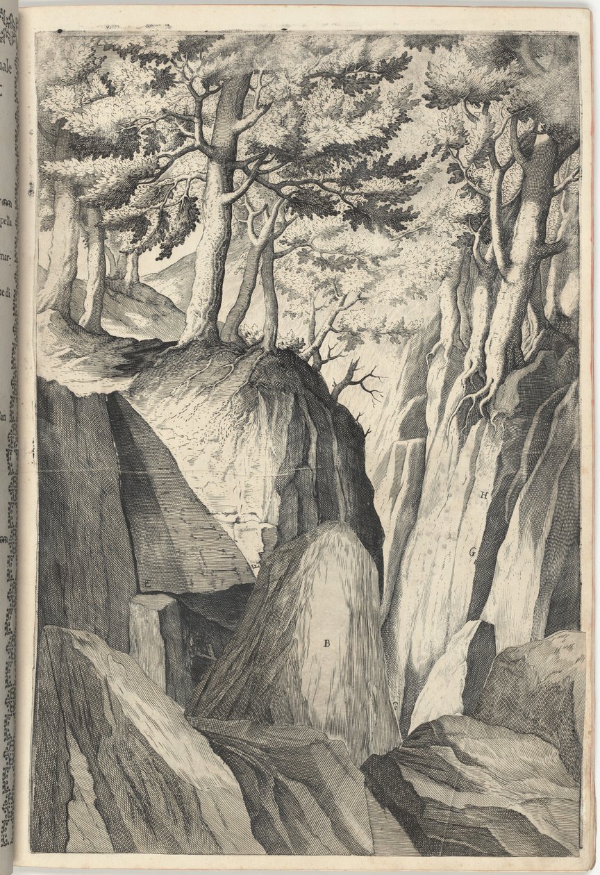 Le Rocher Prominent (Sasso spicco) [plaque I] - Jacopo Ligozzi