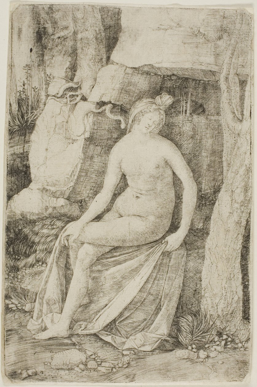 Cléopâtre - Jacopo de