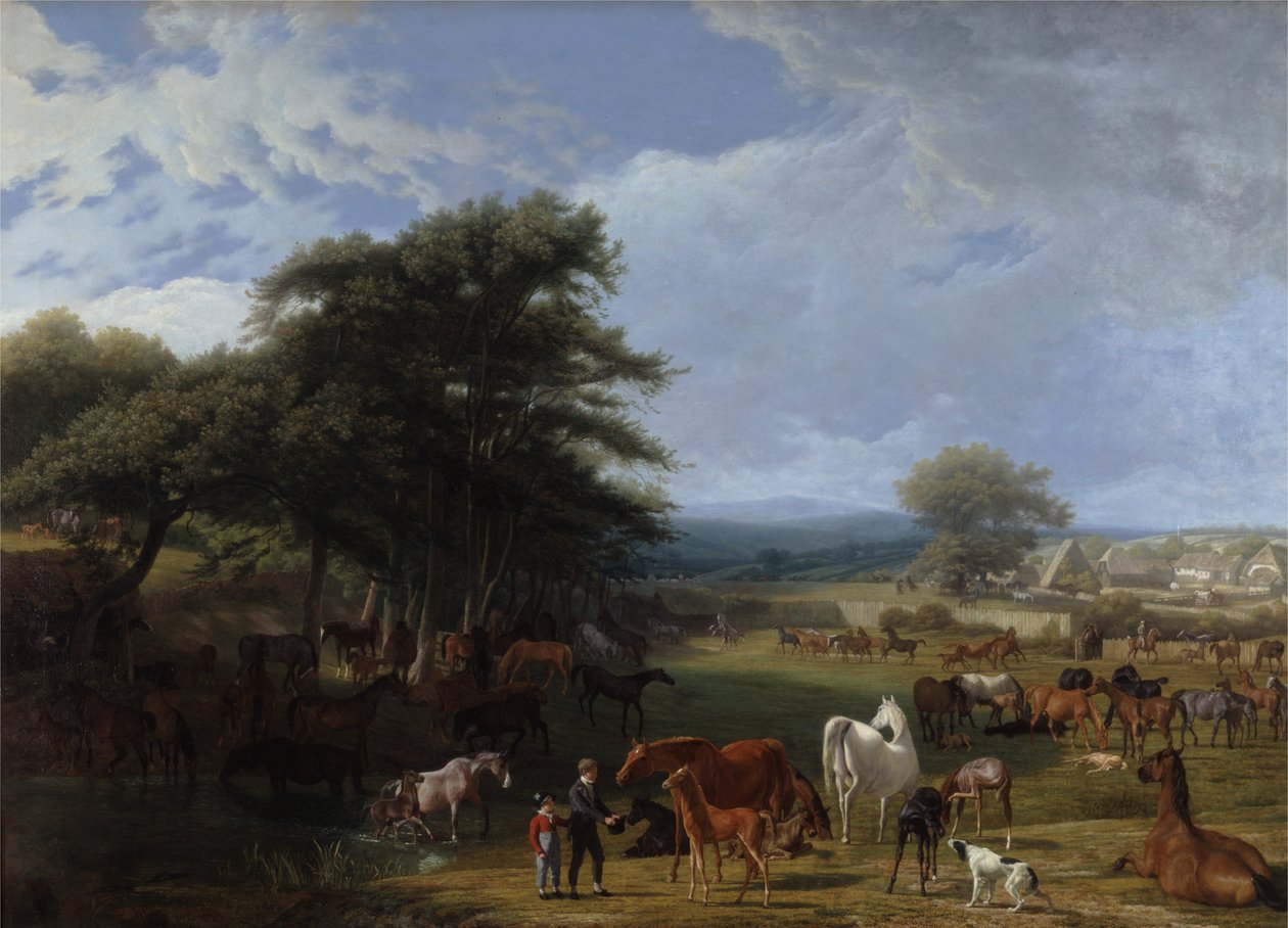 Ferme d