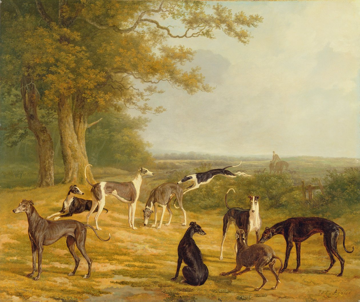 Neuf lévriers dans un paysage - Jacques Laurent Agasse