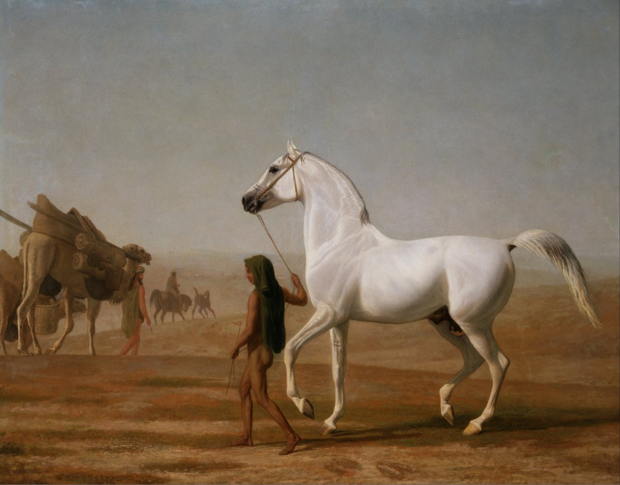 Le Cheval Arabe Gris Wellesley Conduit à Travers le Désert - Jacques Laurent Agasse