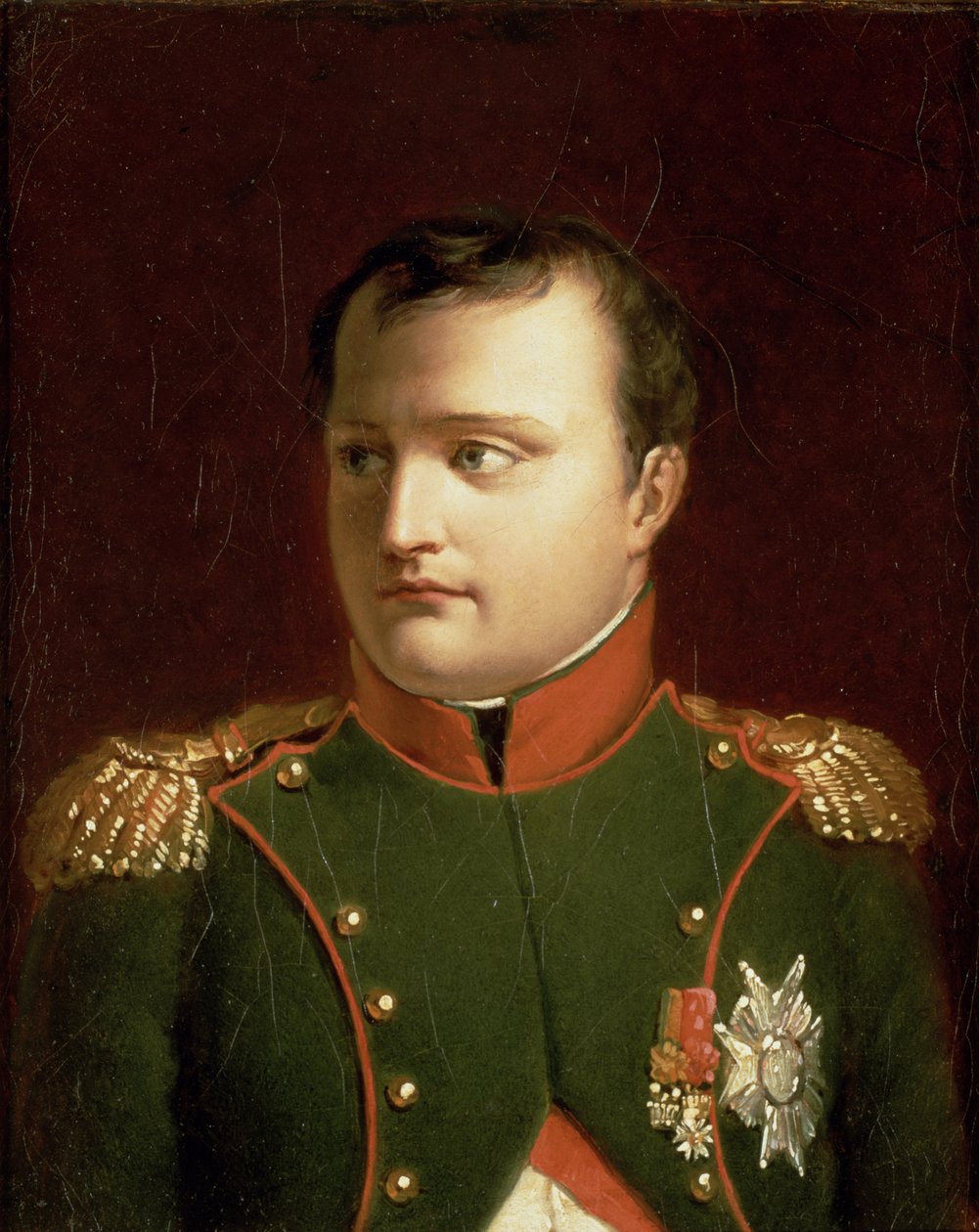 Napoléon Bonaparte (1769-1821) - Jacques Louis David