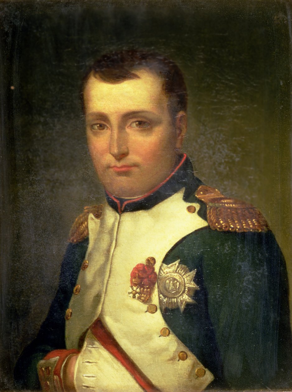 Napoléon Bonaparte - Jacques Louis David