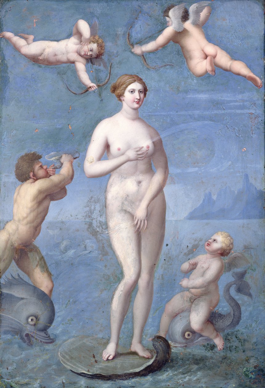 Vénus, 1640 - Jacques Stella