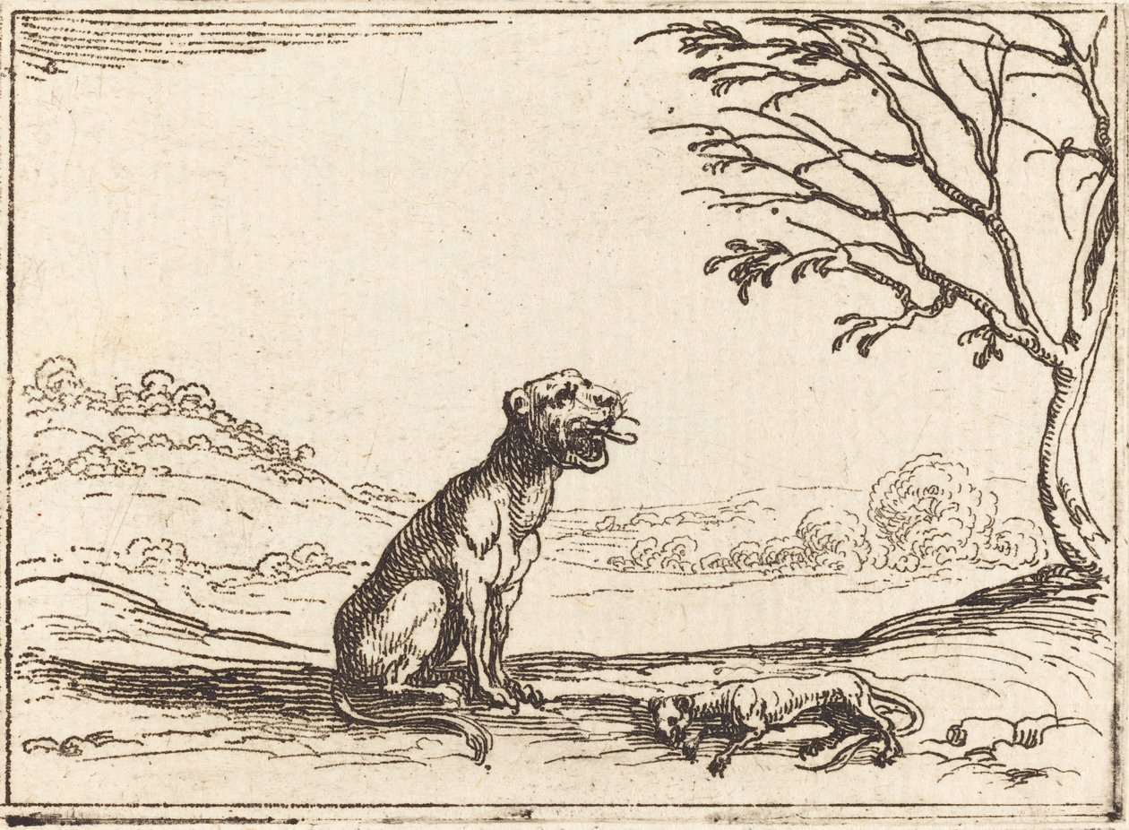 Lionne pleurant son petit - Jacques Callot