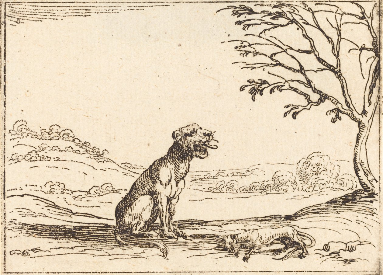 Lionne pleurant son petit - Jacques Callot