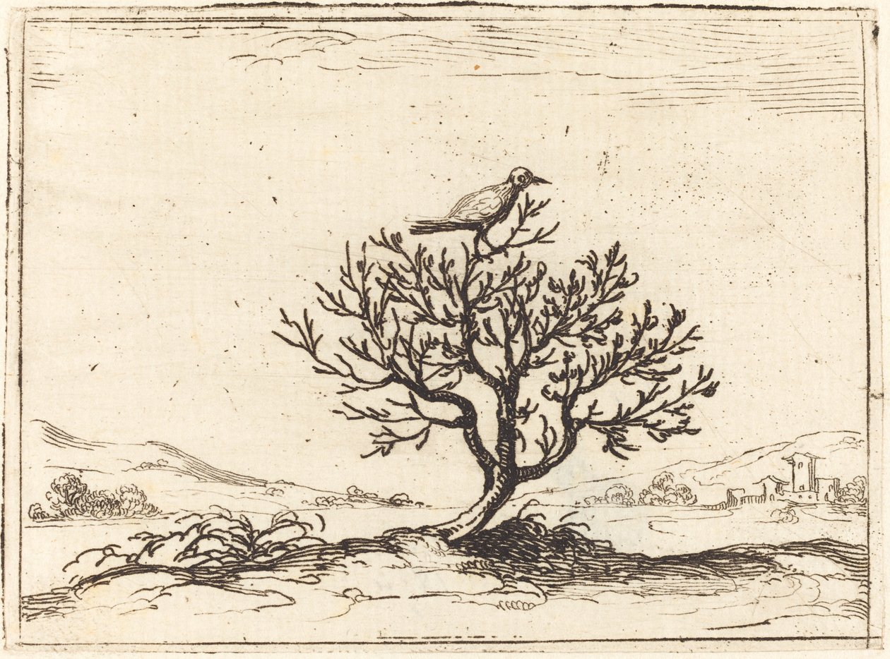Rossignol dans un buisson - Jacques Callot