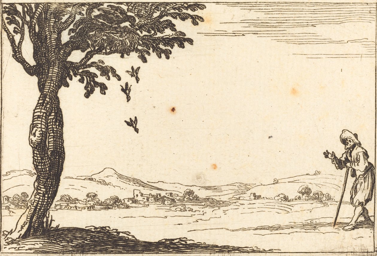 La corneille et ses petits - Jacques Callot