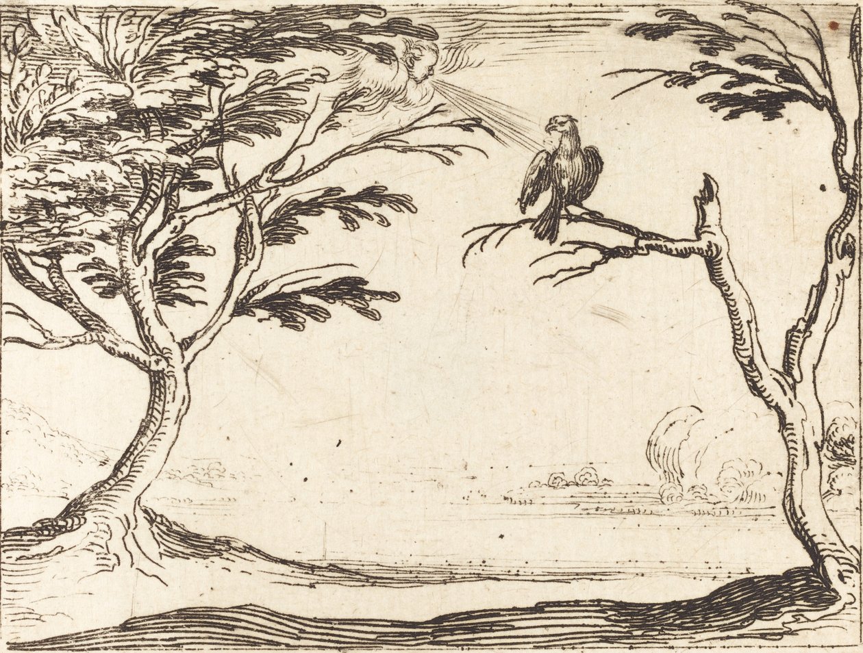 Le Vautour - Jacques Callot