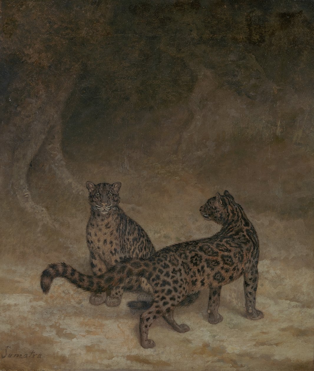 Léopards nébuleux, c.1825 - Jacques Laurent Agasse