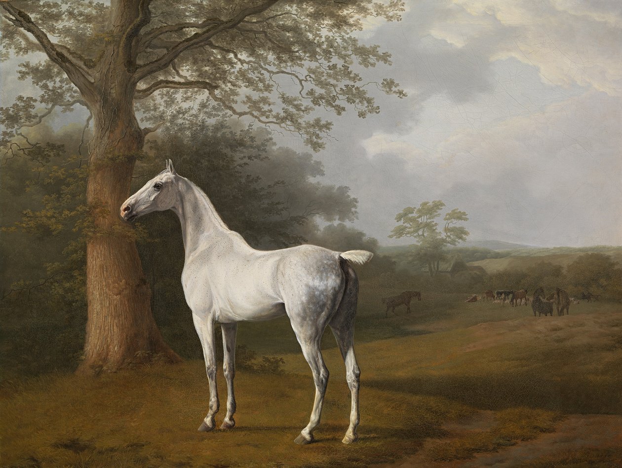 Cheval gris dans le pré - Jacques Laurent Agasse
