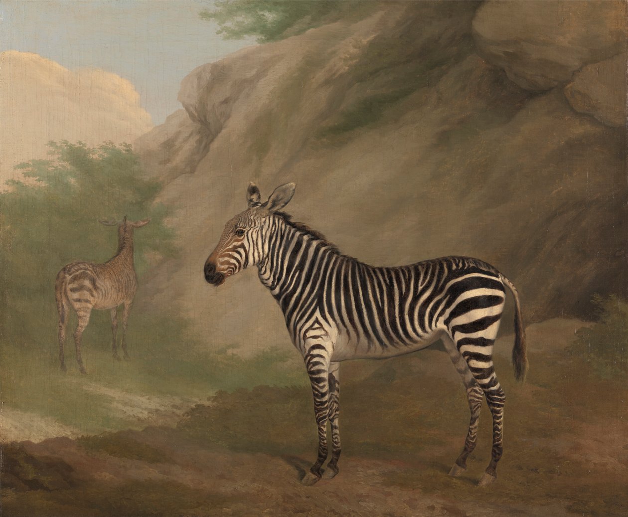 Zèbre - Jacques Laurent Agasse