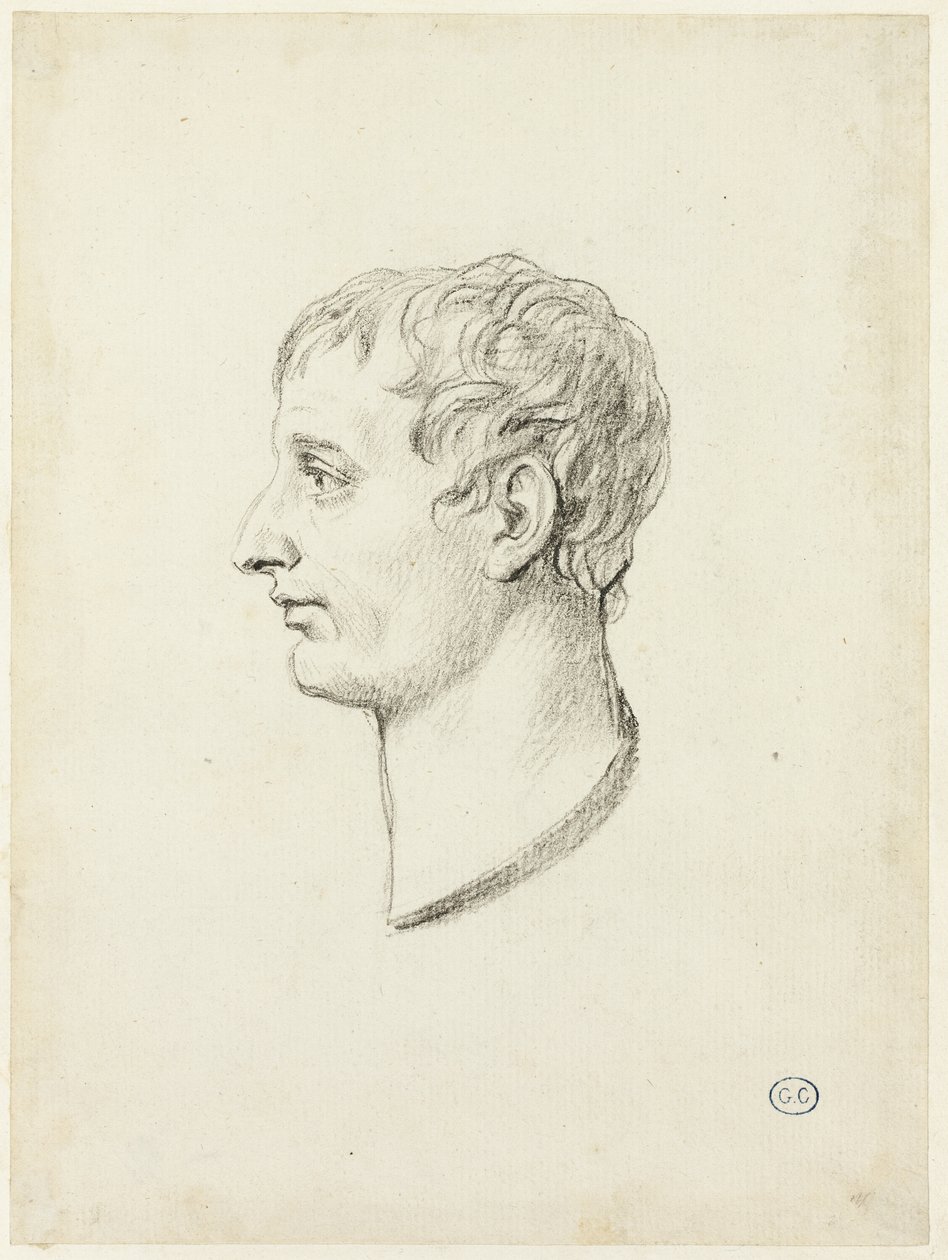 Profil de Napoléon - Jacques Louis David