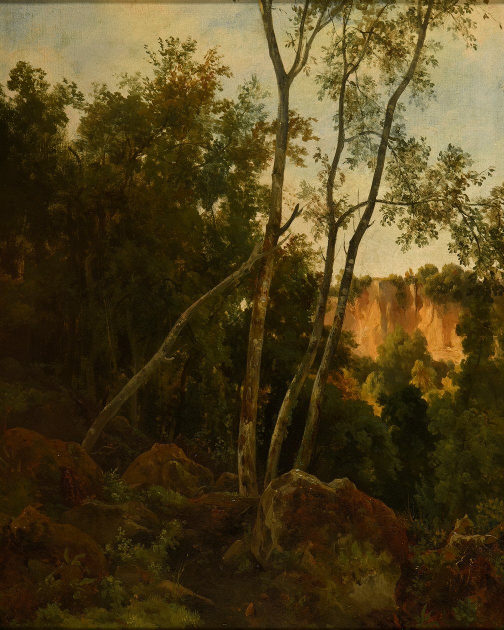 Forêt avec rochers - Jacques Raymond Brascassat