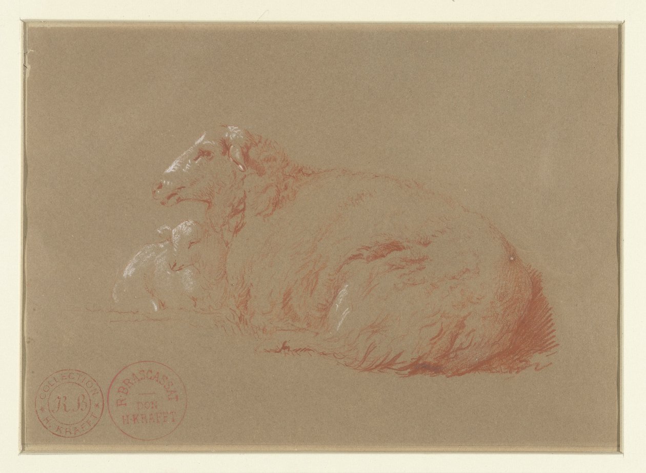 Mouton couché avec agneau - Jacques Raymond Brascassat