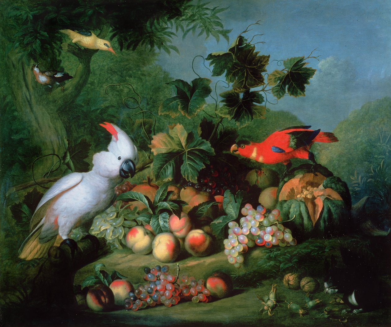 Fruits et oiseaux - Jakob Bogdani or Bogdany