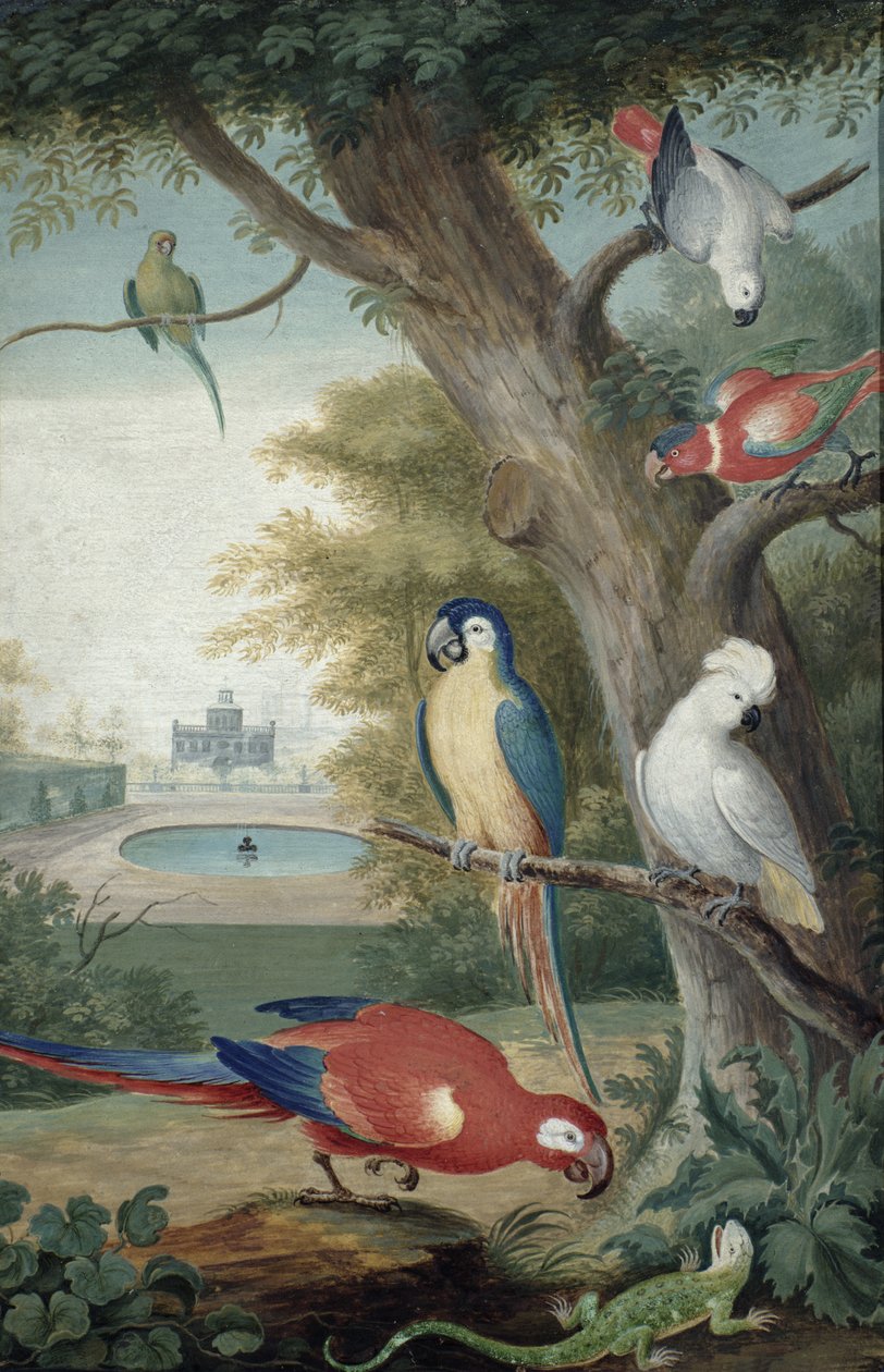 Perroquets et un lézard dans un parc pittoresque, début du XVIIIe siècle - Jakob Bogdani or Bogdany