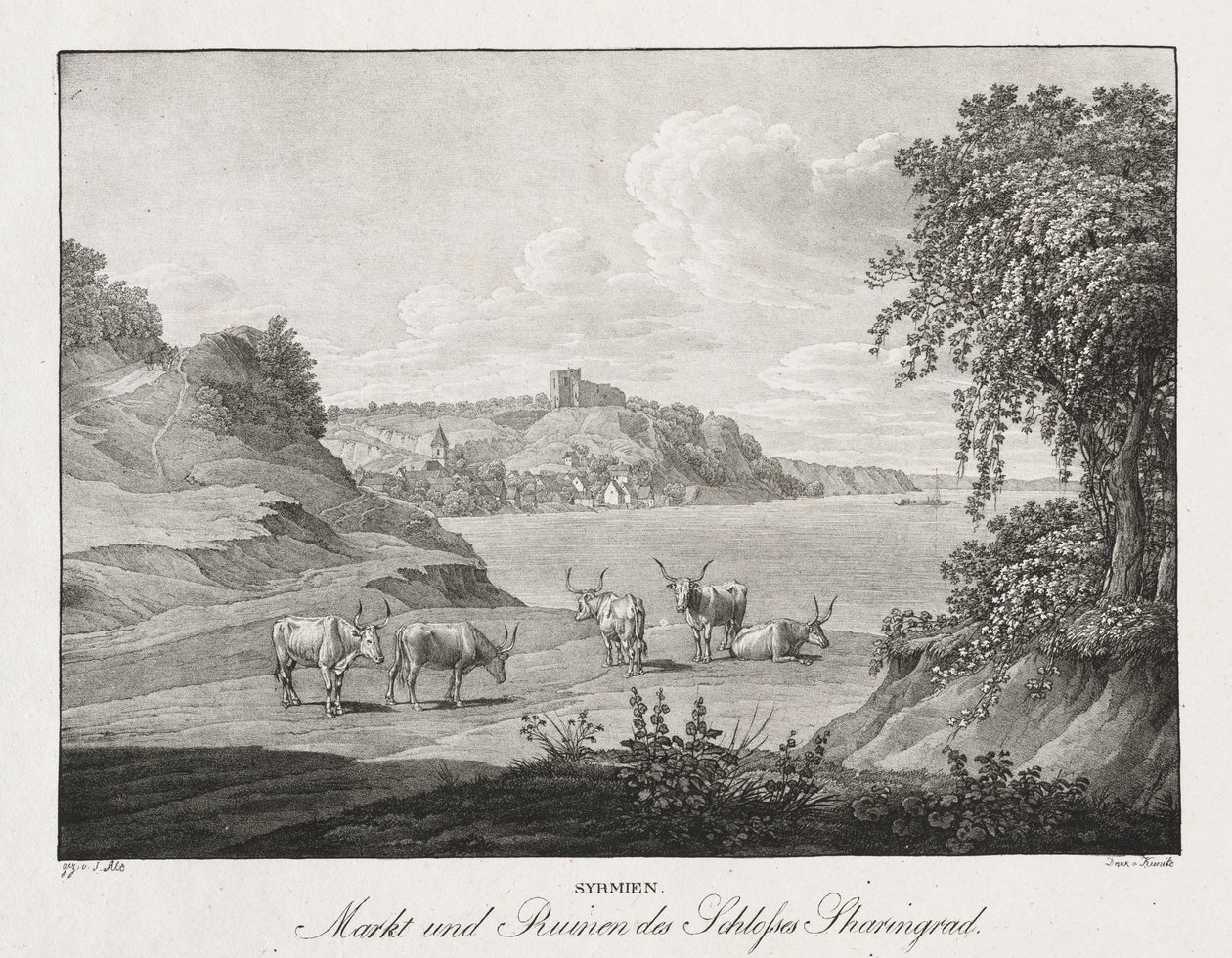 Syrmie, marché et ruines du château de Sharengrad - Jakob Alt