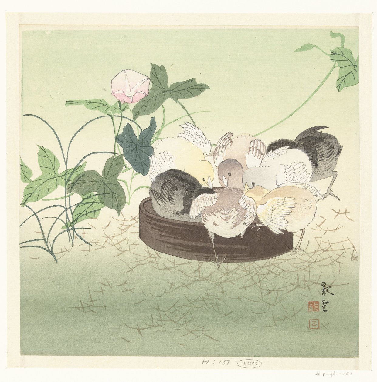 Poussins - Jakuun (possibly)