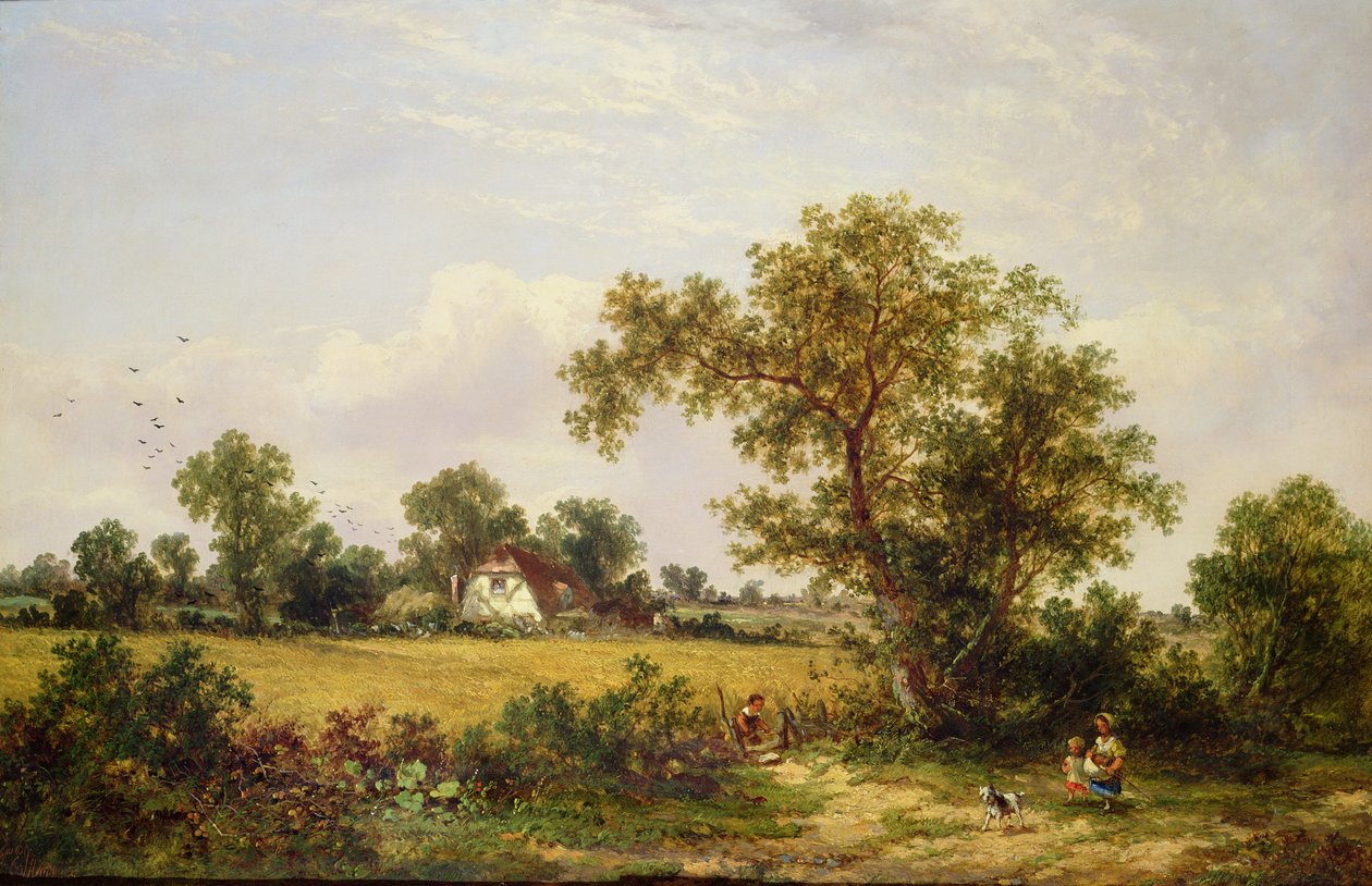 Paysage d