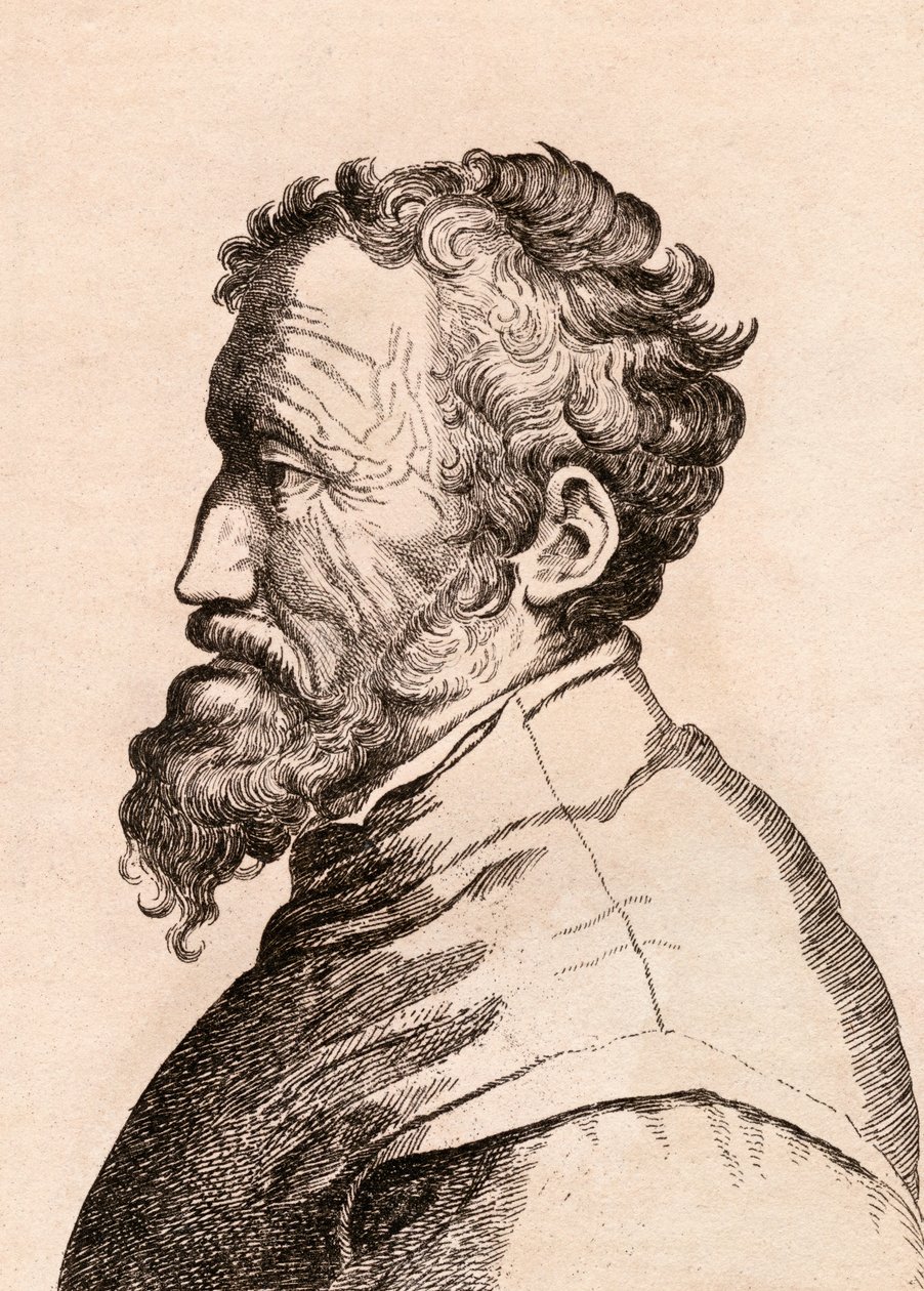 Michelangelo di Lodovico Buonarroti Simoni, illustration de 