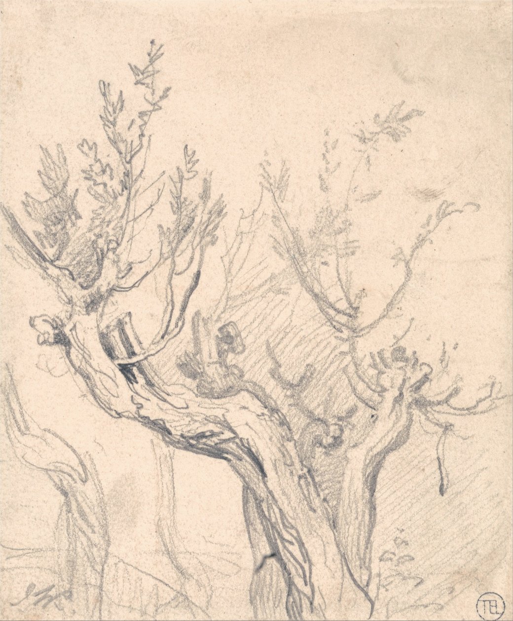 Un arbre noueux - James Ward