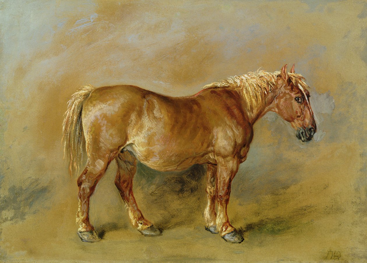 Un Suffolk Punch - James Ward