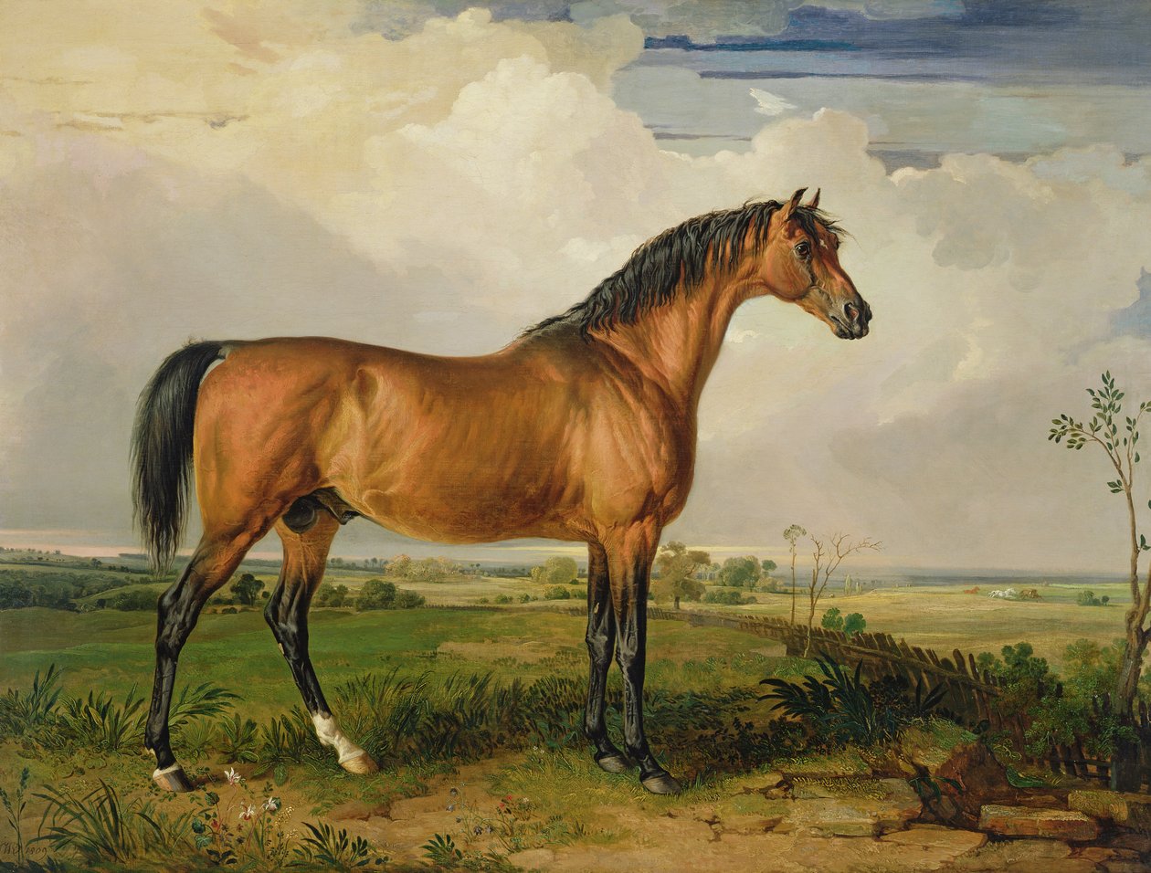 Aigle, un étalon célèbre - James Ward