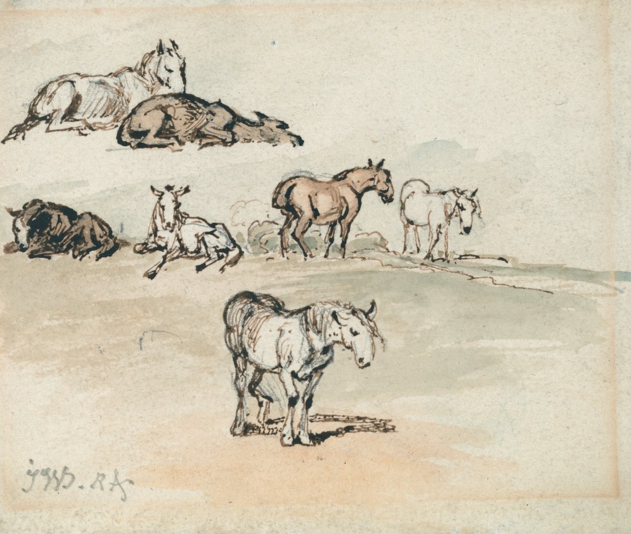 Études de chevaux - James Ward