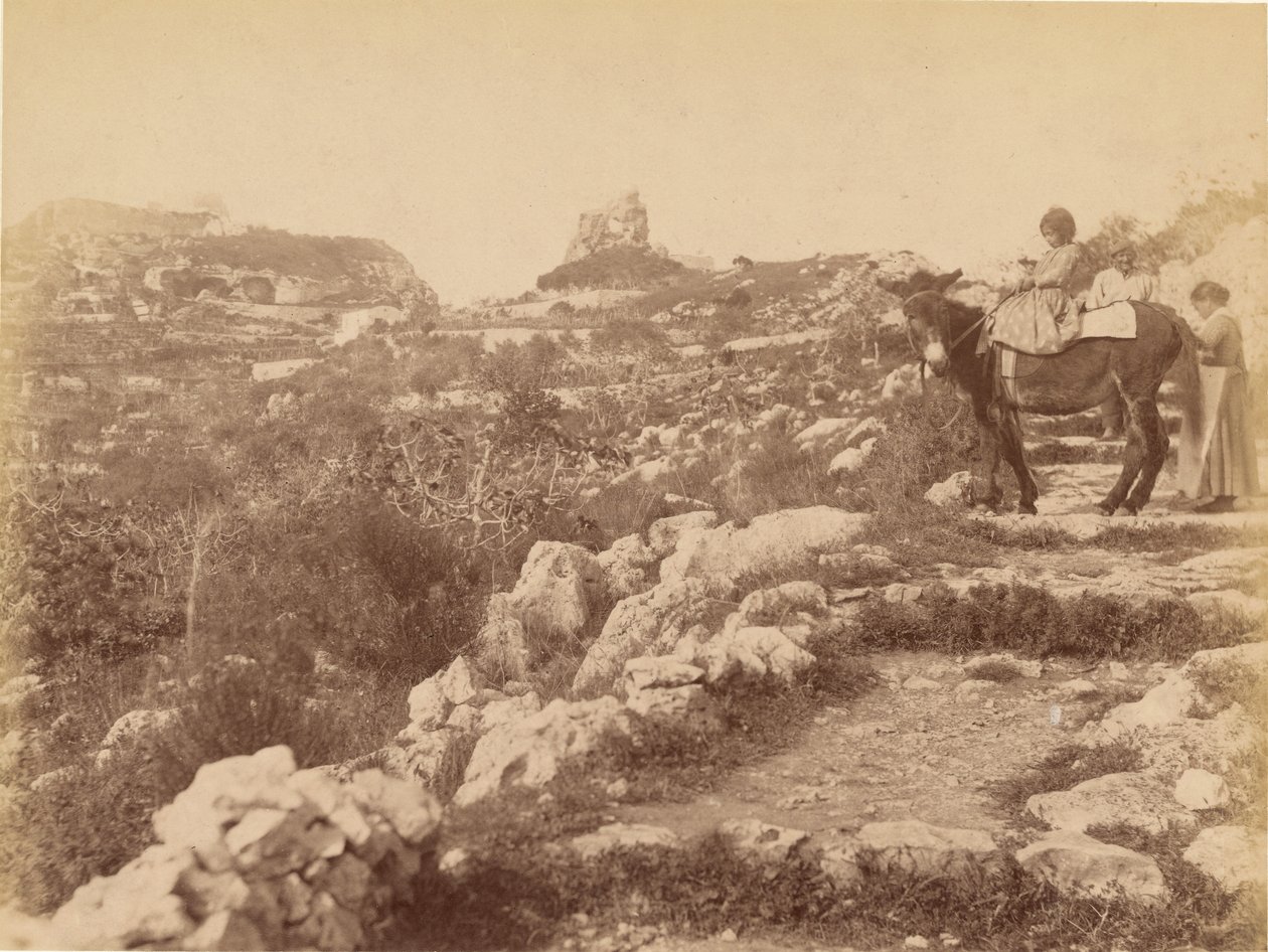 Capri [enfant sur une mule] - James Anderson