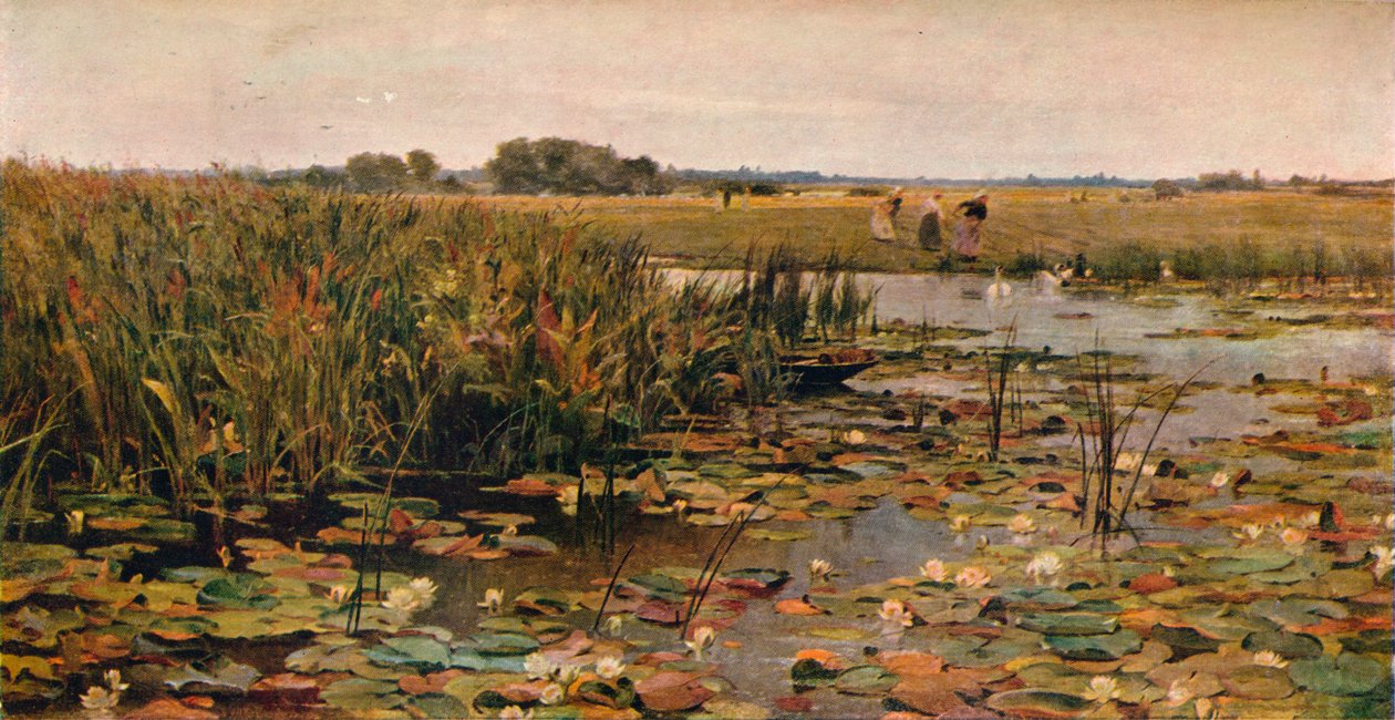 Nénuphars - James Aumonier