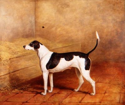 Le chien 