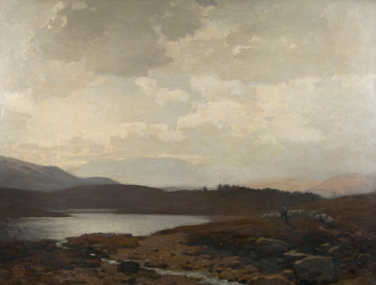 Dinnet Moor - James Cadenhead
