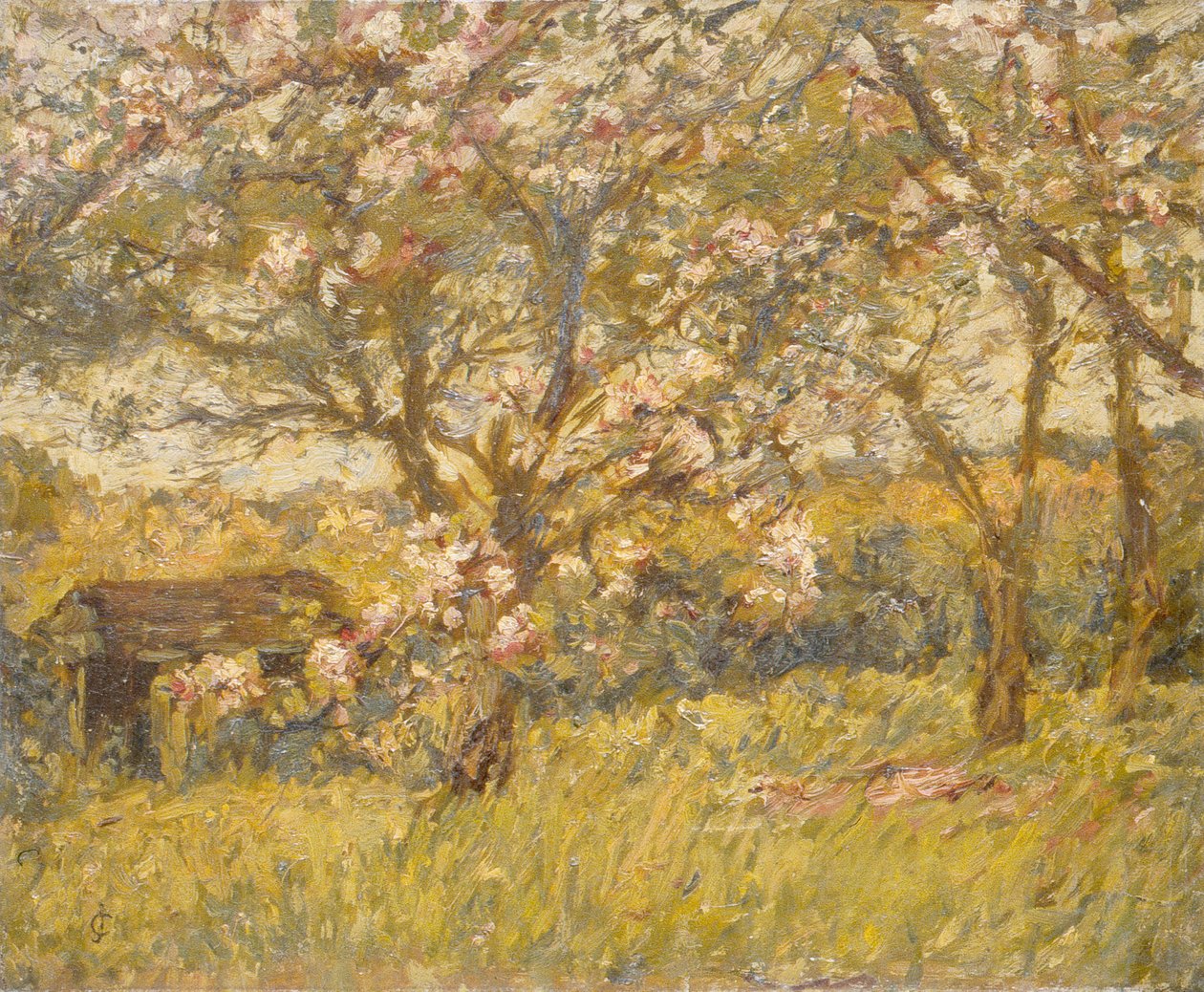 Fleur de pommier - James Charles