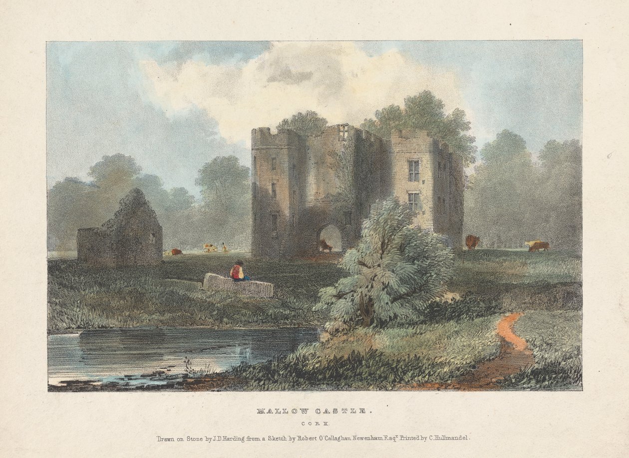 Château de Mallow - James Duffield Harding