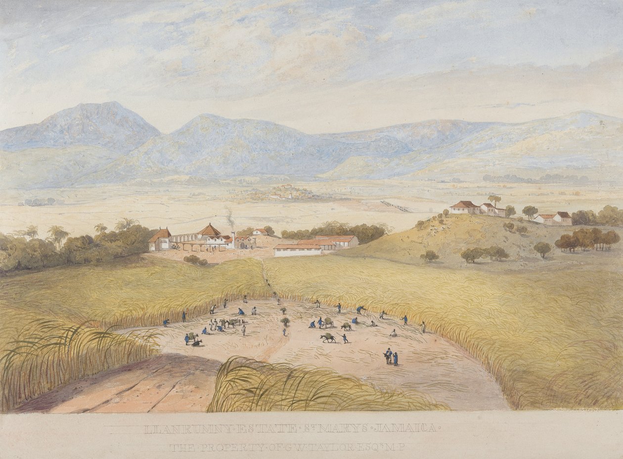 Domaine de Llanrumny, Sainte-Marie, Jamaïque - James Hakewill