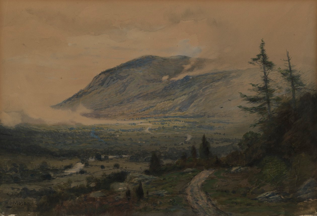 Montagne et vallée - James Henry Moser