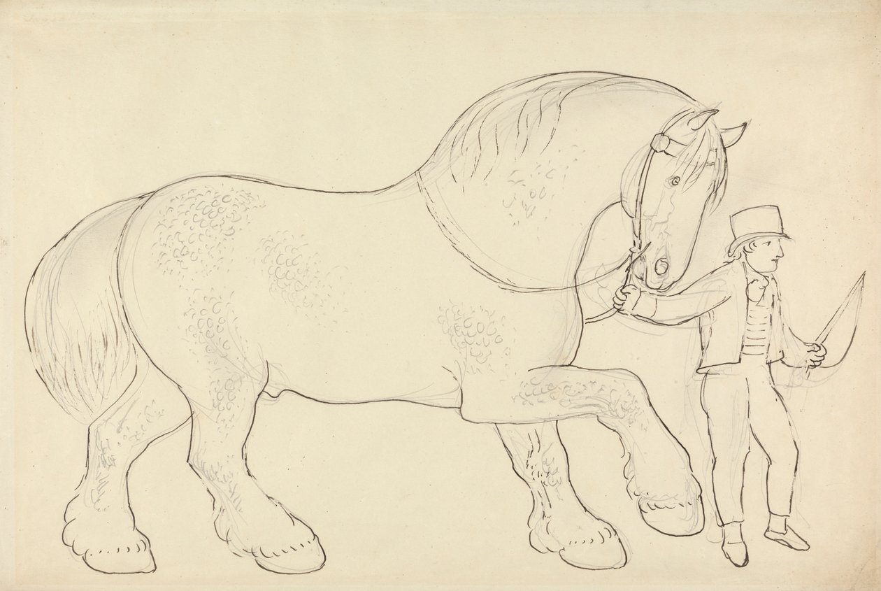 Cheval de trait conduit - James Howe