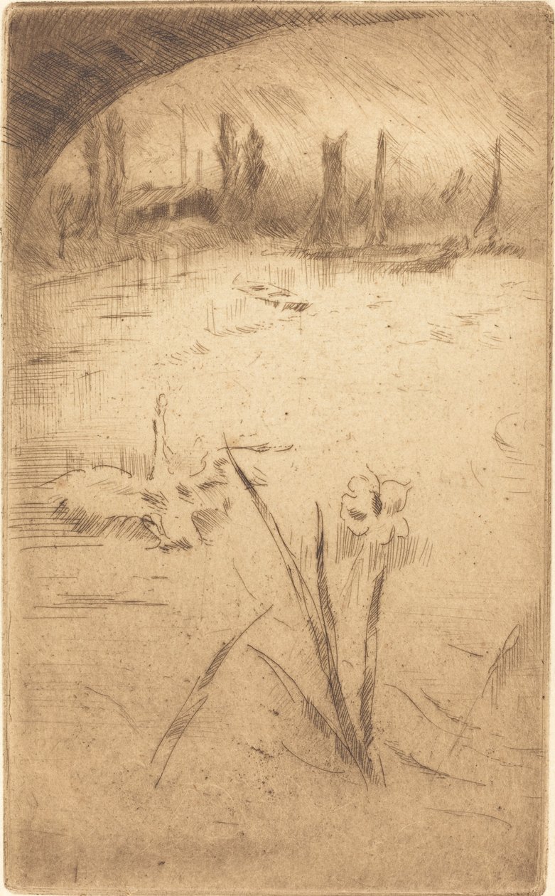 Cygne et iris - James Abbott McNeill Whistler