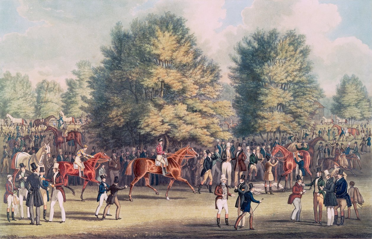 Epsom, Sellerie dans le Warren - James Pollard