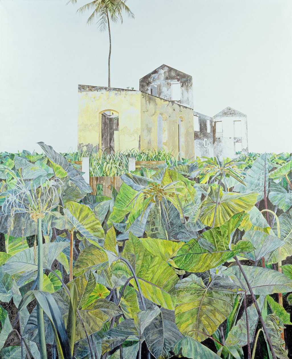 Ruine dans un marais, Haïti, 1971 - James Reeve