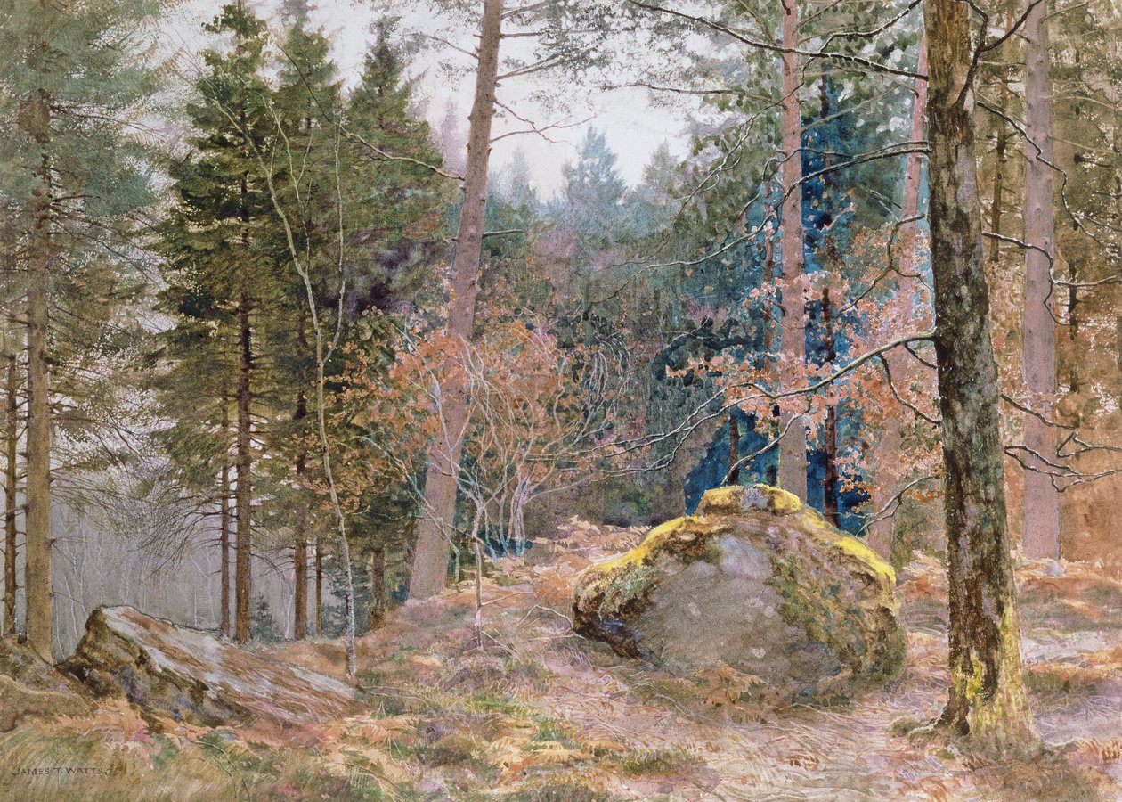 Dans un bois gallois, hiver - James Thomas Watts