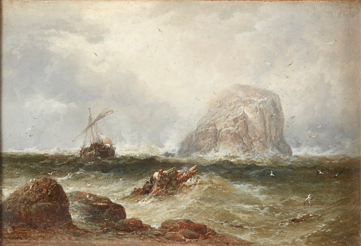 Au large du Bass Rock - James Webb