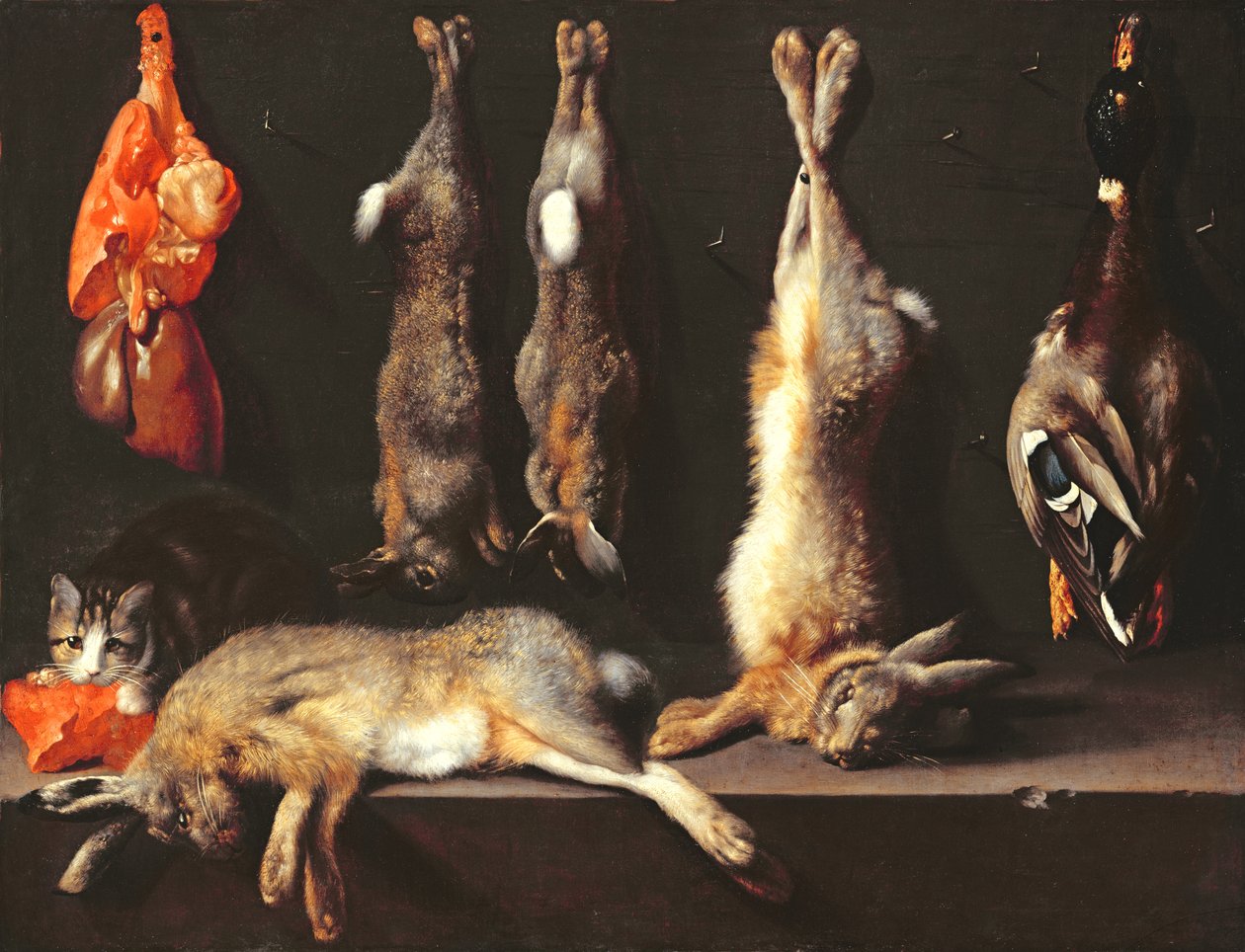 Nature morte, gibier - Jan Baptist Weenix