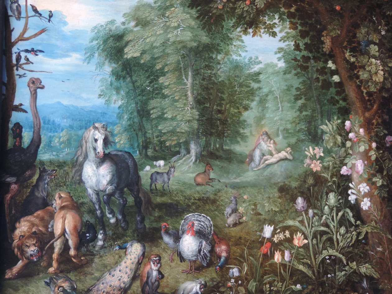 Paradis avec la création d