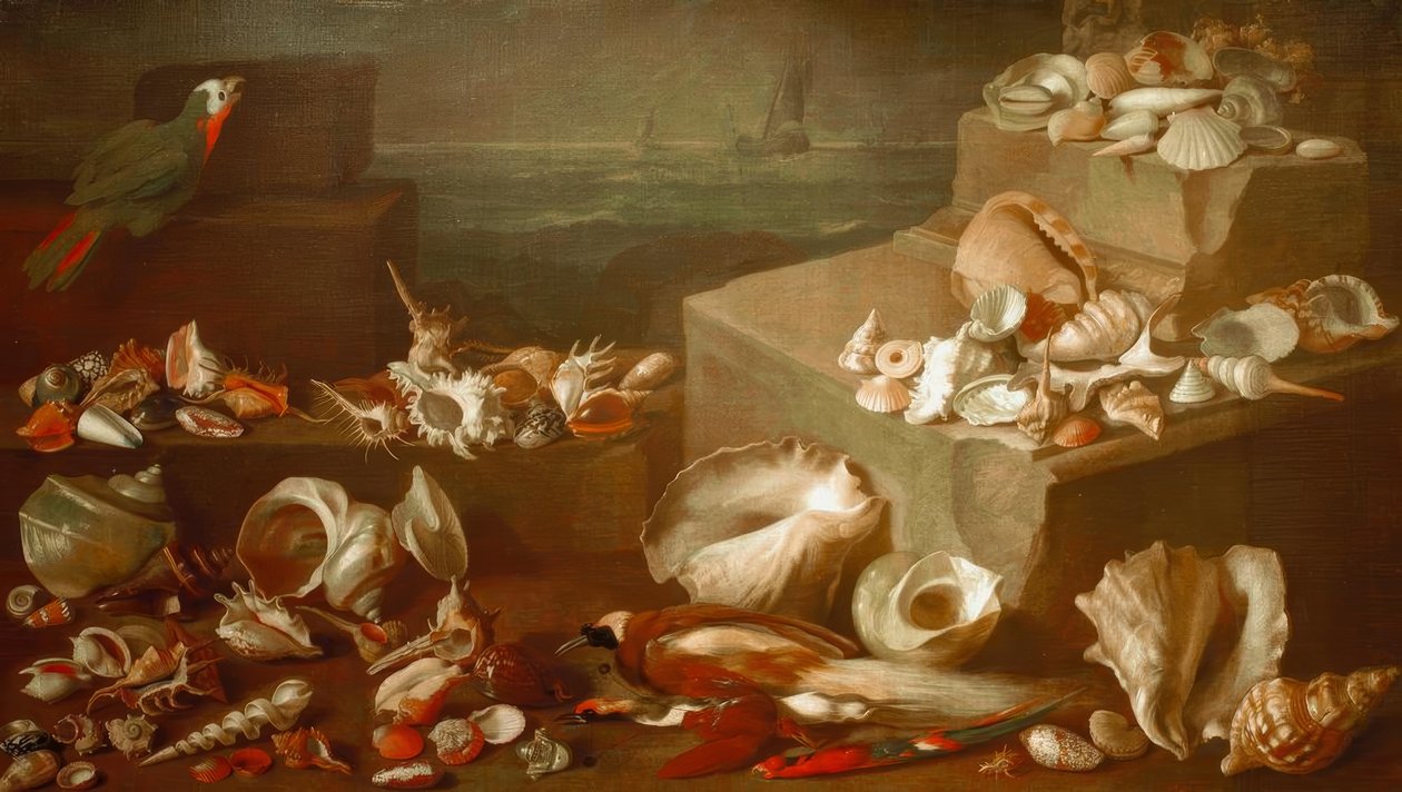 Nature morte avec escargots et coquillages - Jan Davidsz de Heem