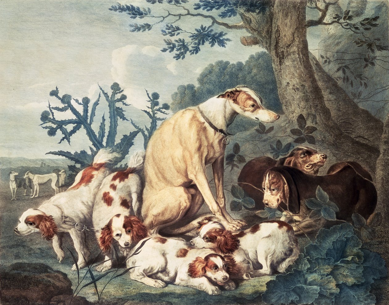 Portraits de chiens, gravé par Daniel Lerpiniere, publié par John et Josiah Boydell, 1799 - Jan Fyt